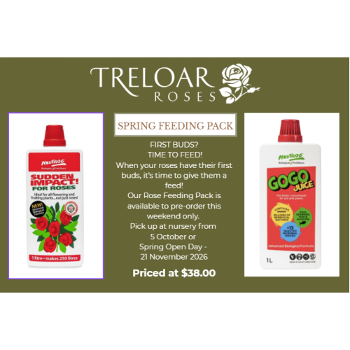 Spring Feeding Pack